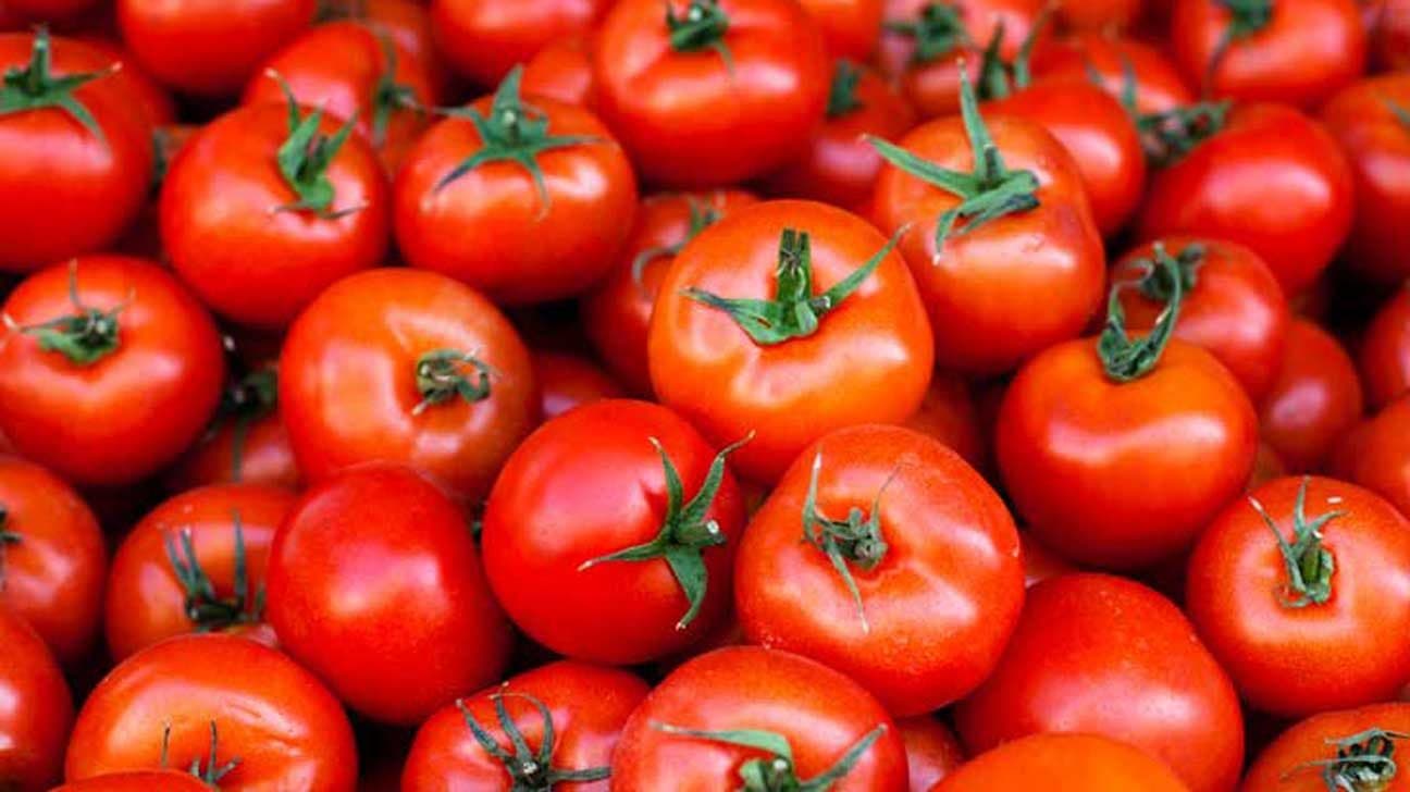 Tomato (Local)